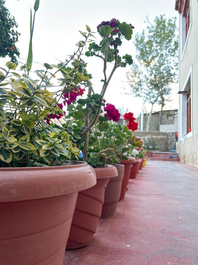 Gaywoo Guest House ليه المظهر الخارجي الصورة