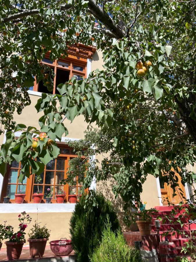 Gaywoo Guest House ليه المظهر الخارجي الصورة