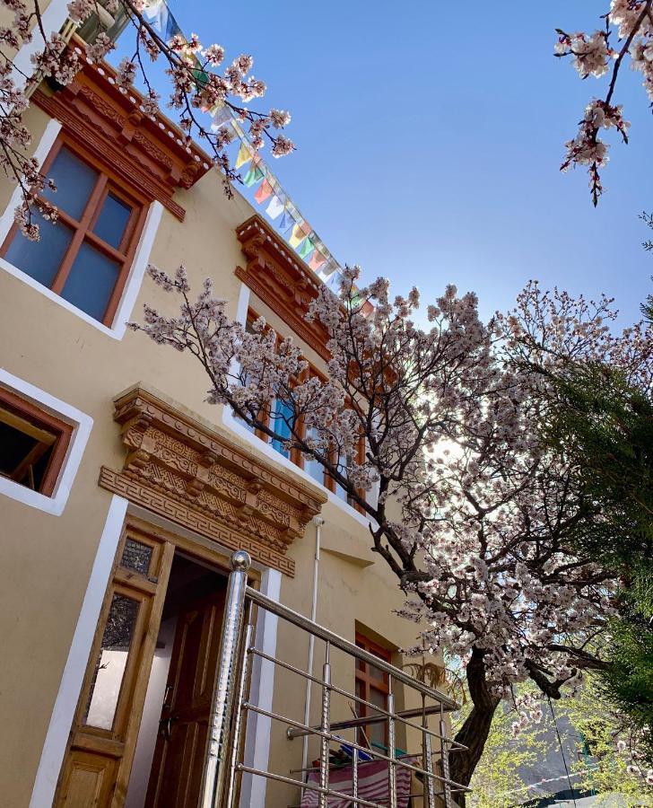 Gaywoo Guest House ليه المظهر الخارجي الصورة